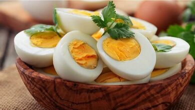 آیا تخم‌مرغ واقعاً سالم است؟ بررسی علمی، باورهای غلط و جایگزین‌های گیاهی 1